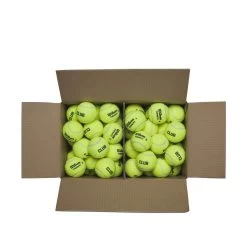 Wilson Triniti Tennis Balls - Eco-Friendly 72 Ball Club Case 5 Wilson Triniti Tennis Balls - Eco-Friendly 72 Ball Club Case -Tennis Equipment Store 1c93e159b53dd8f956c3c4c765a27545a0458a7b WR8201501 3 Triniti Club 72 Ball Box