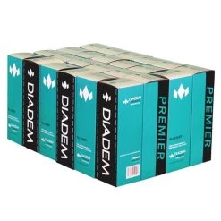 Diadem Premier Pressureless Tennis Balls - 24 Sleeve Case