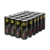 Wilson US Open Regular Duty Tennis Balls - 24 Can Case